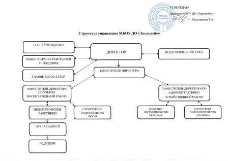 Структура управления МБОУ ДО "Эдельвейс"